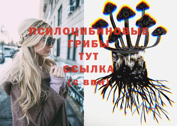 сатива Абаза