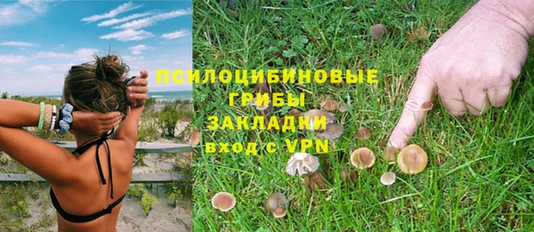 трава Алзамай