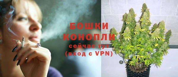 трава Алзамай